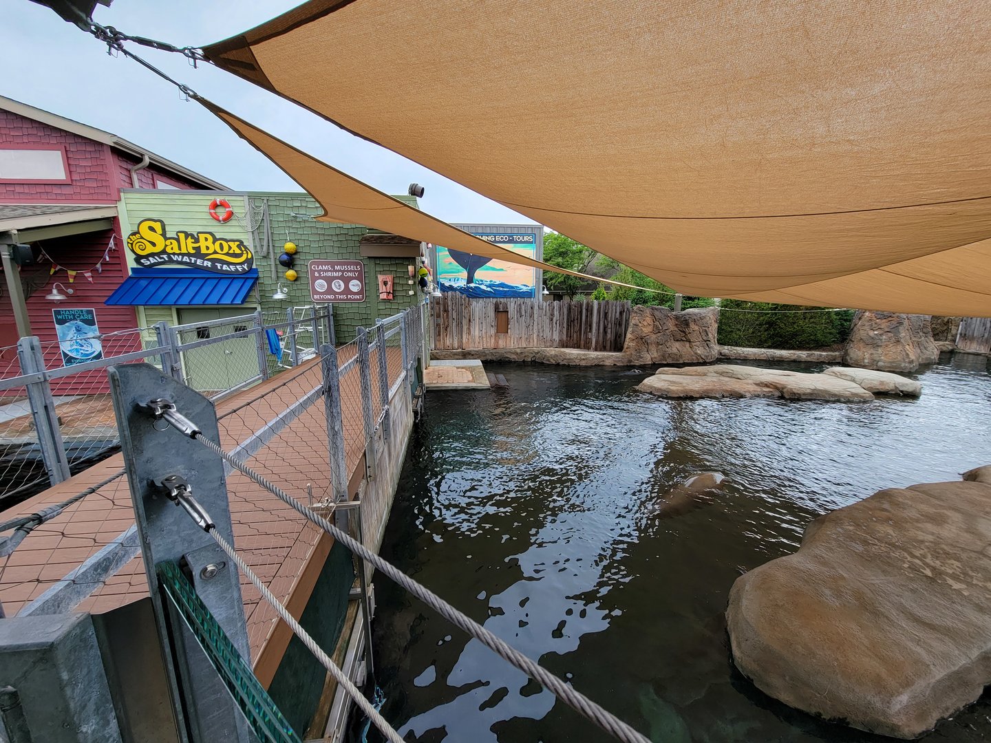 Columbus Zoo - Adventure Cove, trainer path between both sides of pool