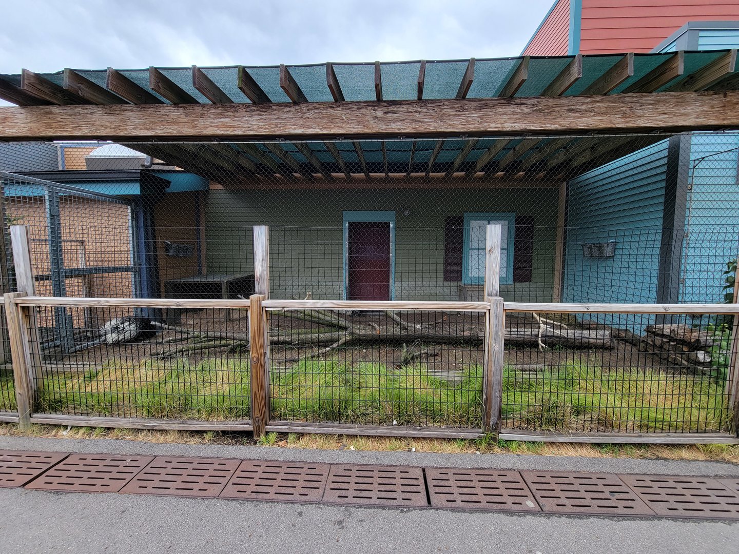 Columbus Zoo - African and Indian crested porcupines