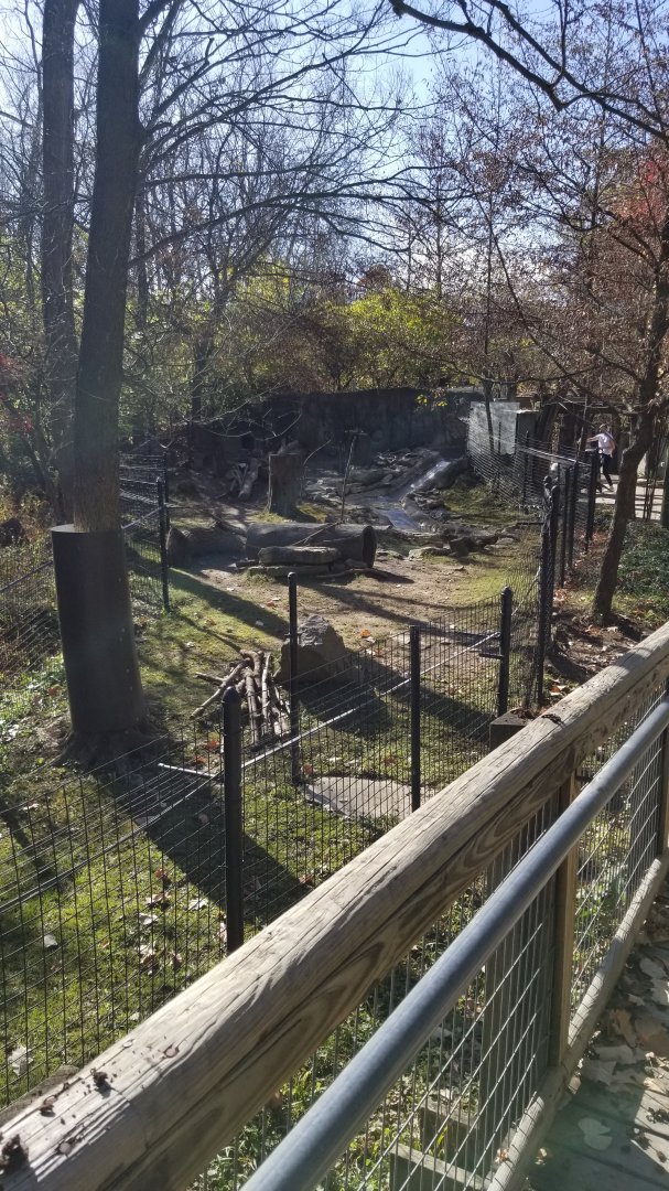 Columbus Zoo - American beaver exhibit