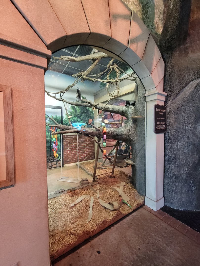 Columbus Zoo - Animal Encounters Village corner exhibit, currently holding prehensile-tailed porcupine