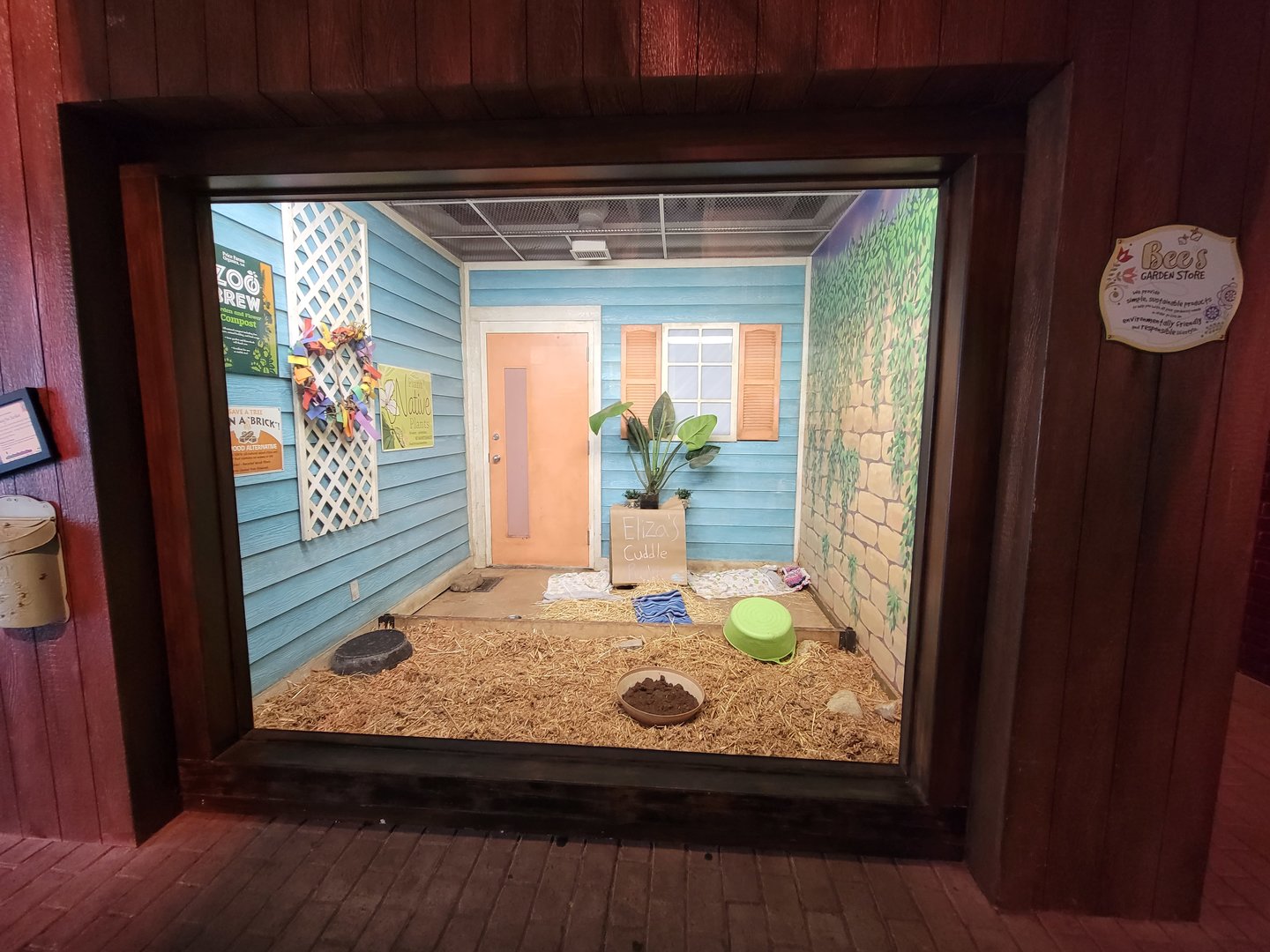 Columbus Zoo - Animal Encounters Village, echidna