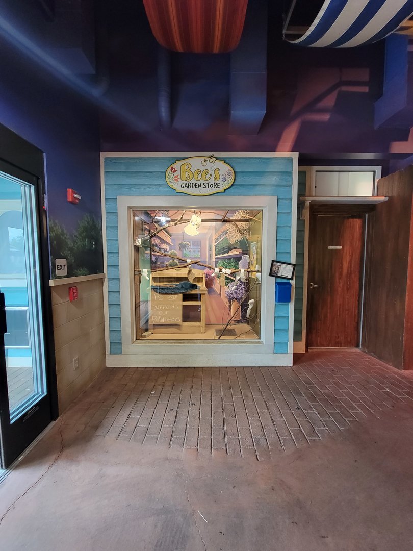 Columbus Zoo - Animal Encounters Village, galago