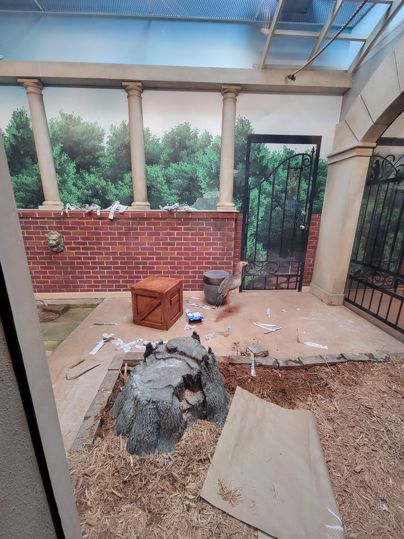 Columbus Zoo - Animal Encounters Village, red-legged seriema indoors