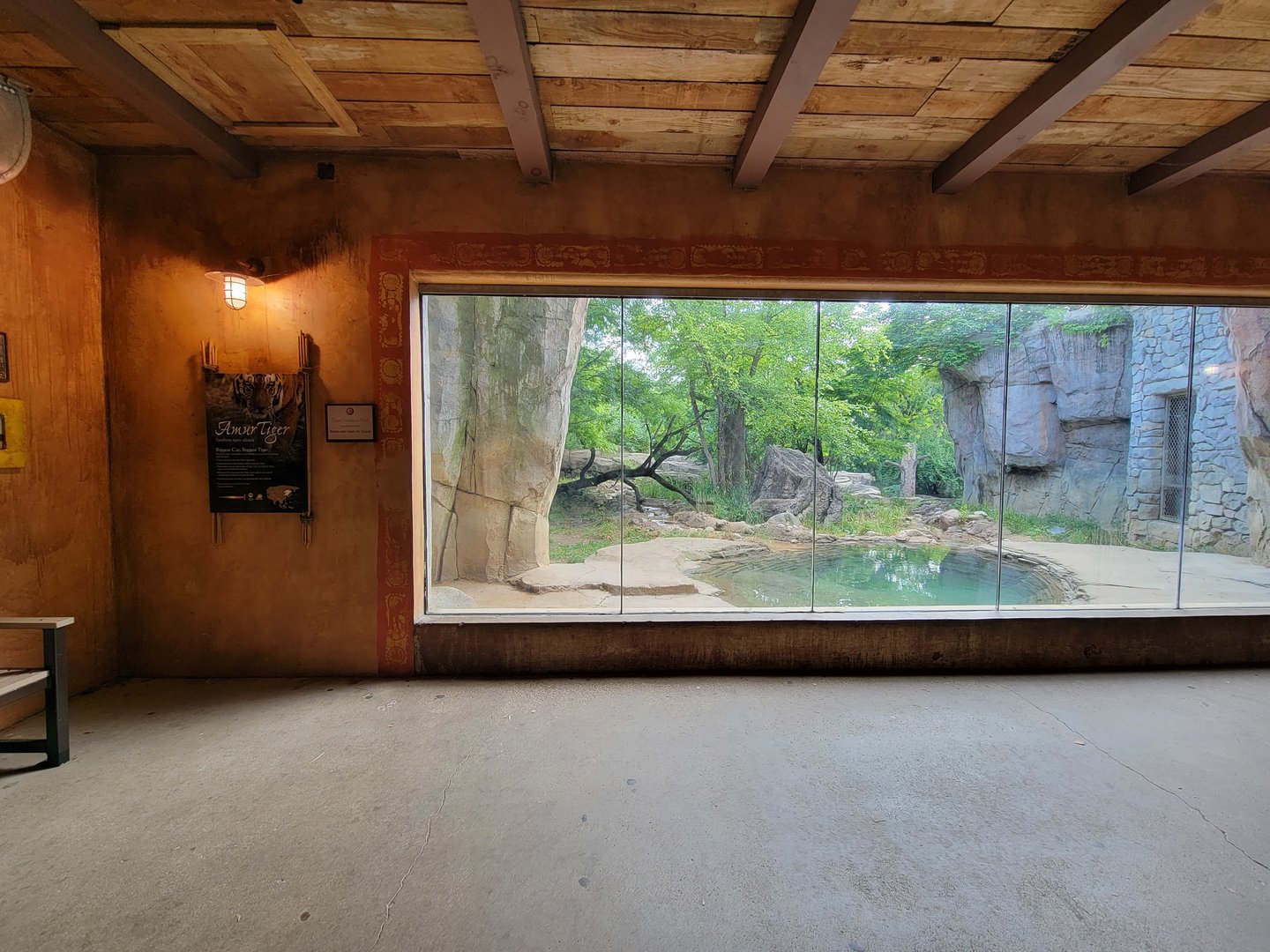 Columbus Zoo - Asia Quest, Amur tiger indoor viewing window