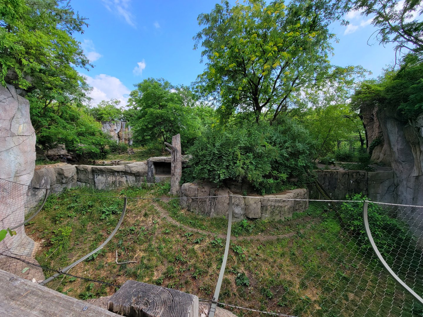 Columbus Zoo - Asia Quest, Amur tiger outdoor viewing