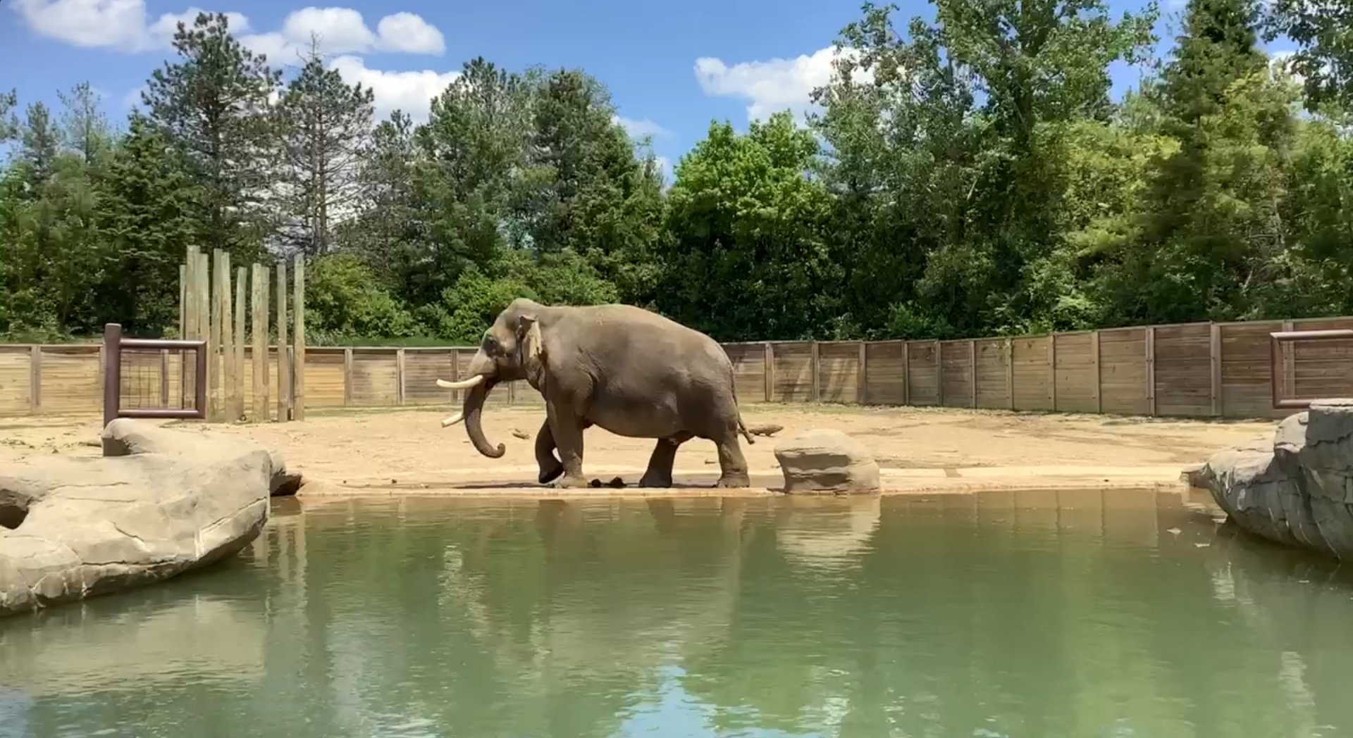 Columbus Zoo - Asia Quest - Asian Elephant exhibit