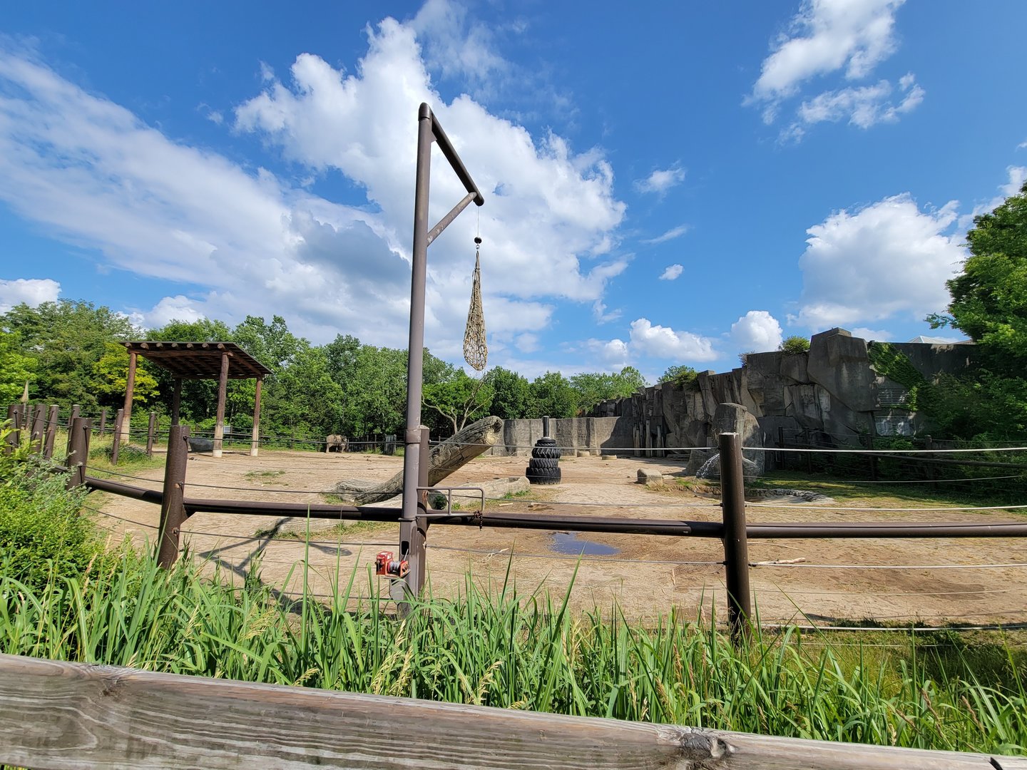 Columbus Zoo - Asia Quest, Asian elephants