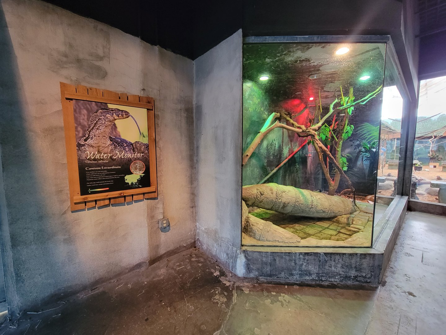 Columbus Zoo - Asia Quest, Asian water monitor