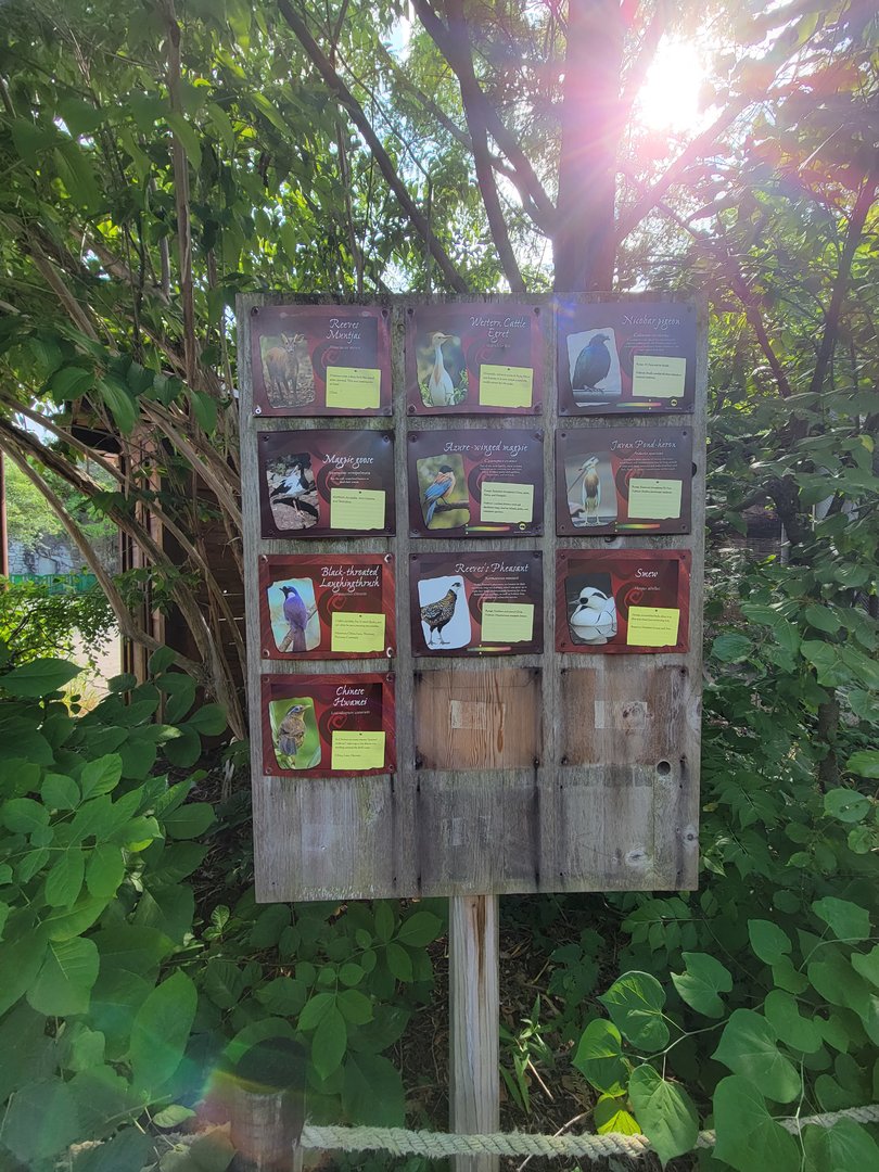 Columbus Zoo - Asia Quest Aviary, Species