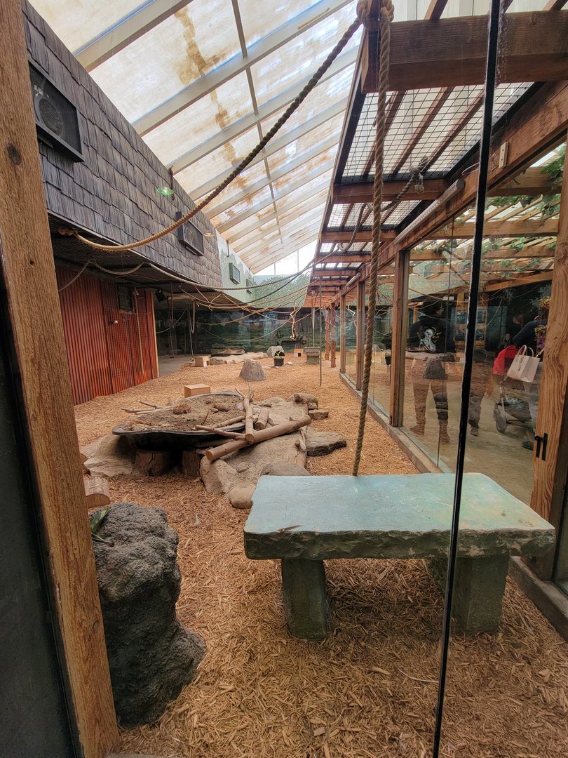 Columbus Zoo - Asia Quest, Bats and chevrotain exhibit