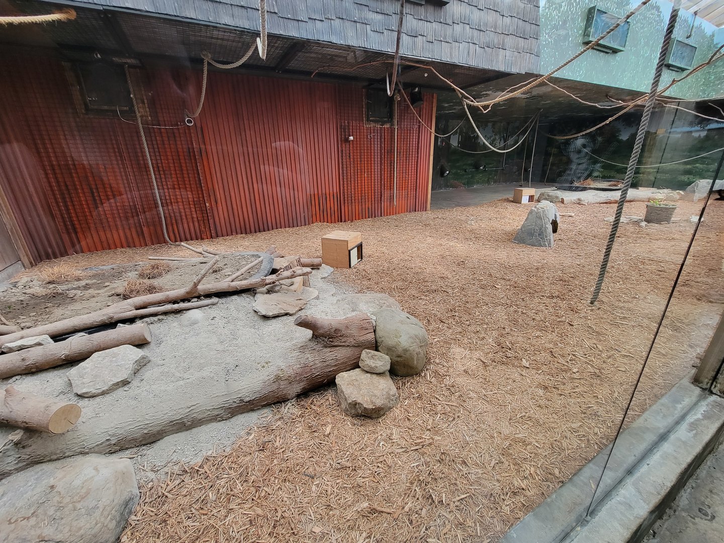 Columbus Zoo - Asia Quest, Bats and chevrotain exhibit