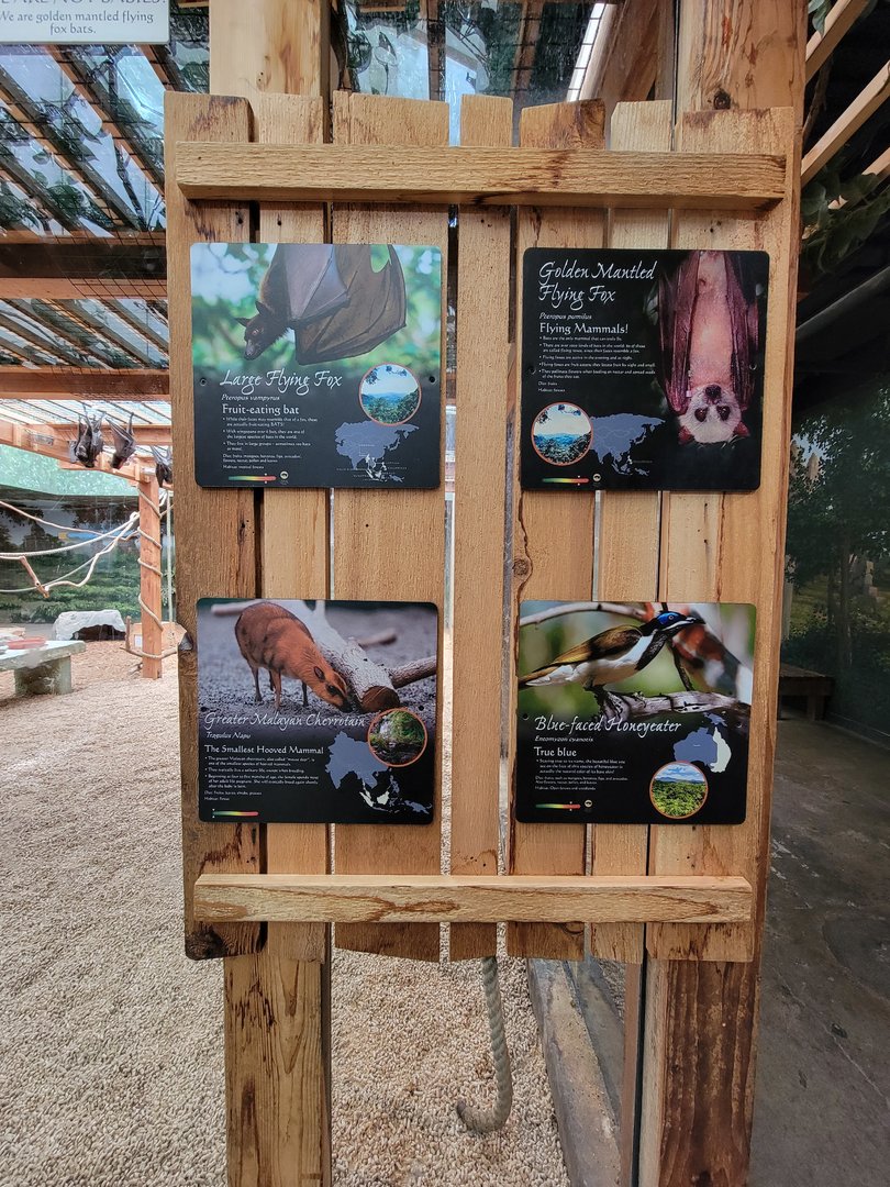 Columbus Zoo - Asia Quest, Bats and chevrotain signage