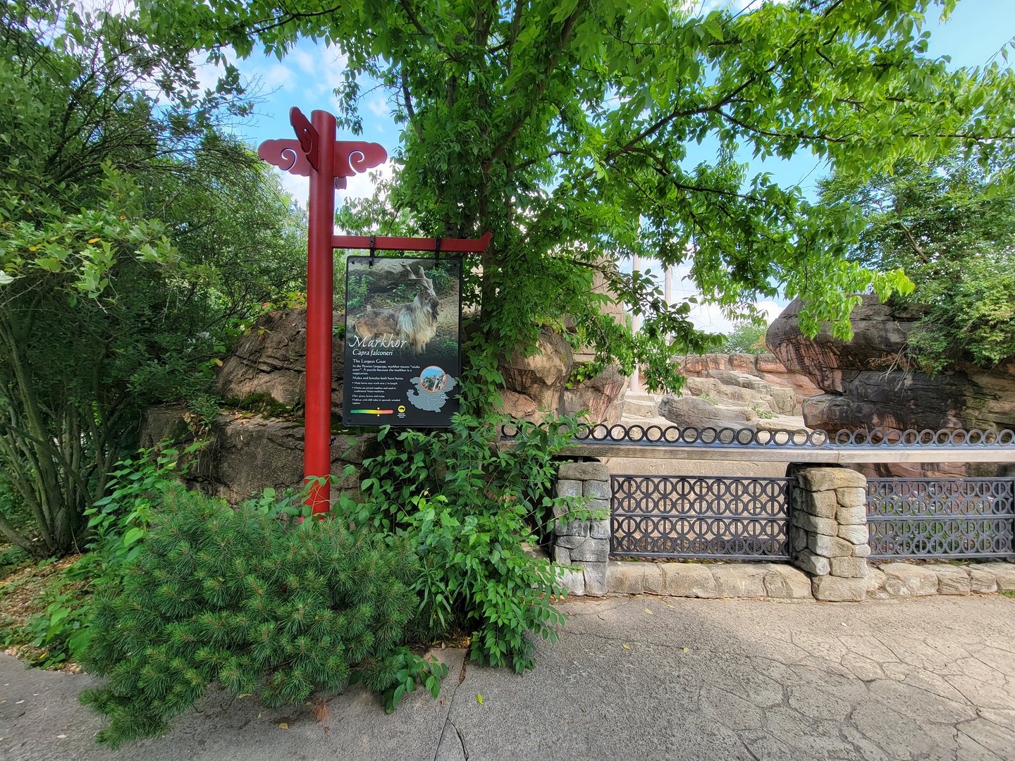 Columbus Zoo - Asia Quest, Markhor