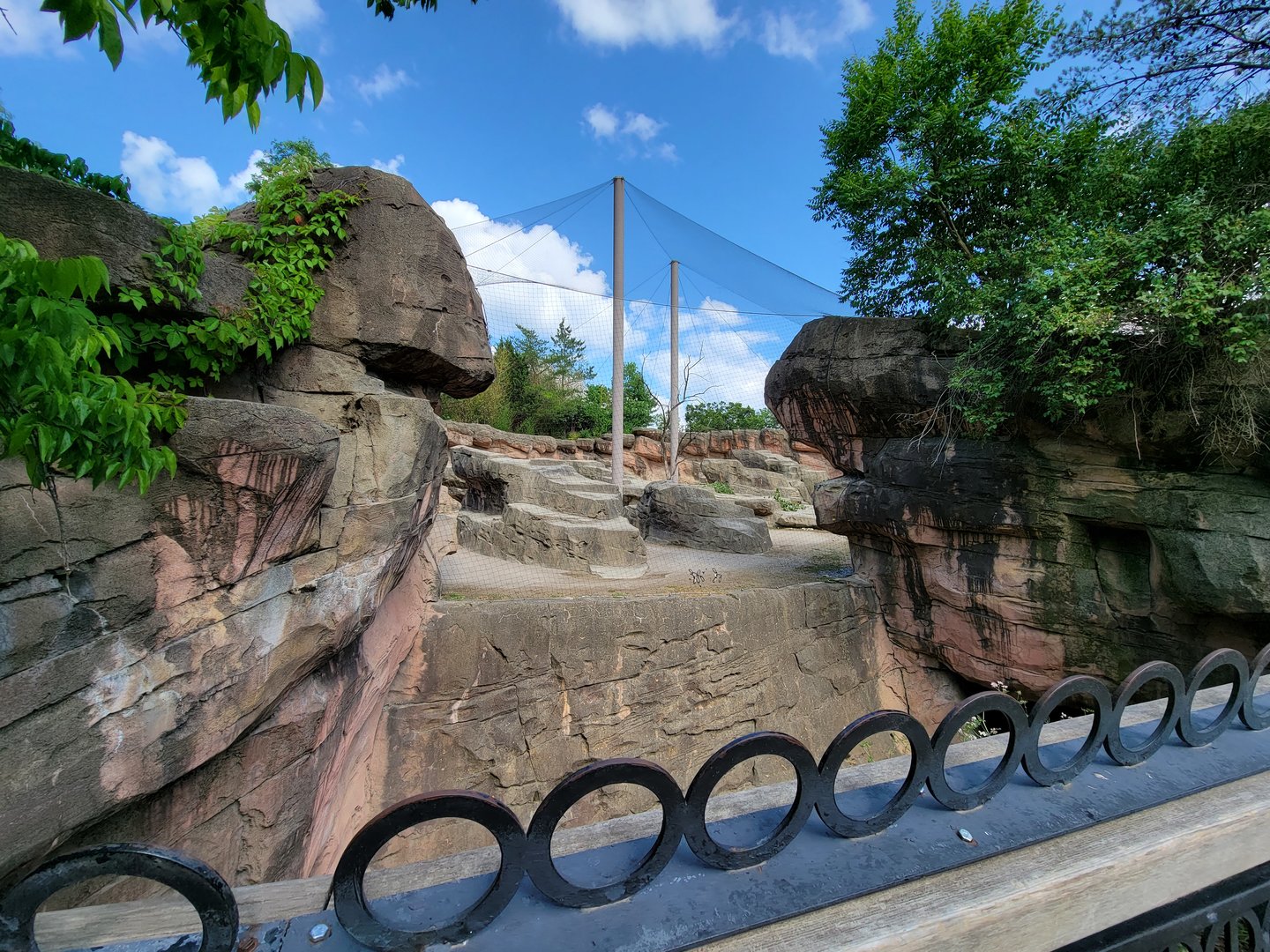 Columbus Zoo - Asia Quest, Markhor