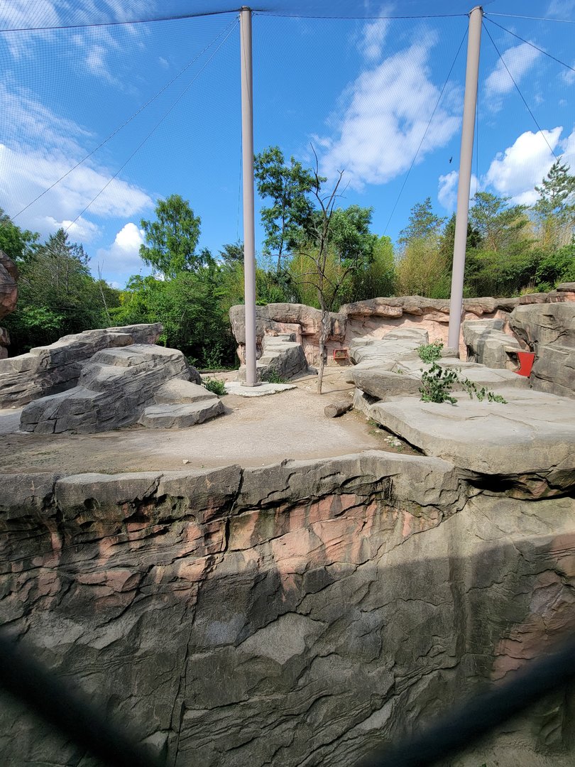 Columbus Zoo - Asia Quest, Markhor