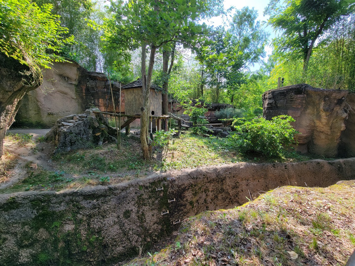Columbus Zoo - Asia Quest, Red pandas