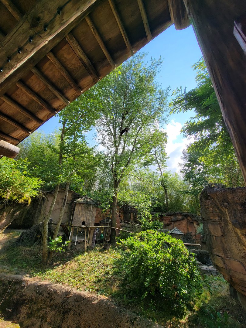 Columbus Zoo - Asia Quest, Red pandas