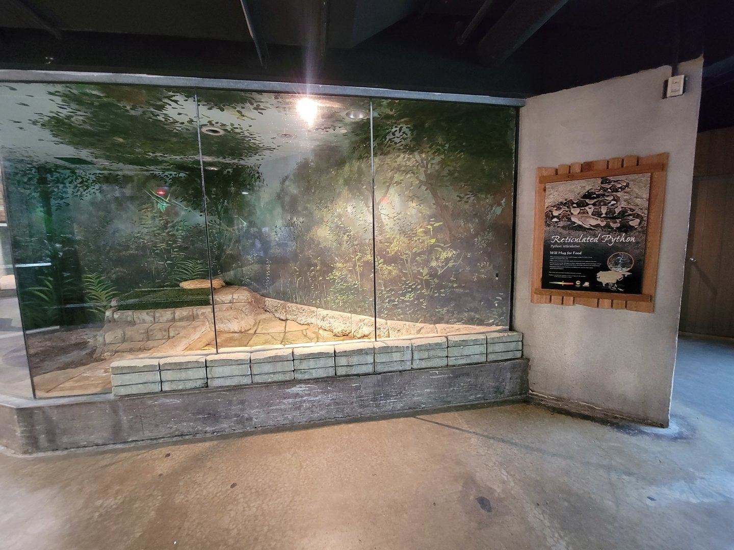 Columbus Zoo - Asia Quest, Reticulated python