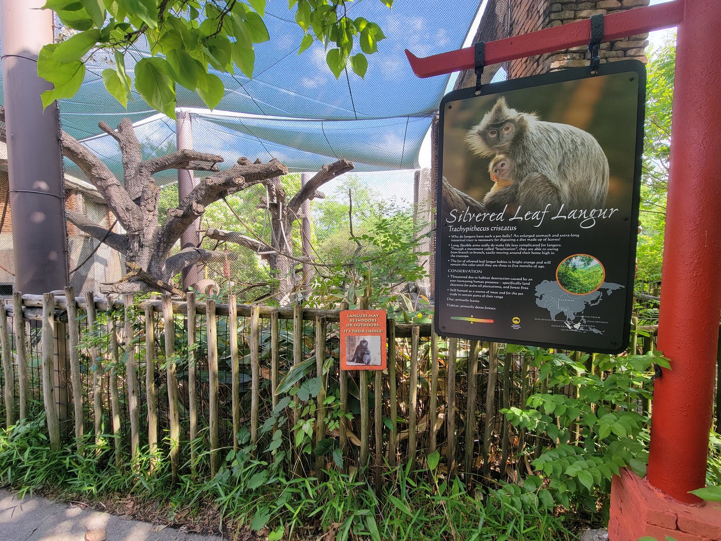 Columbus Zoo - Asia Quest, Silvered leaf monkey outdoors, signage
