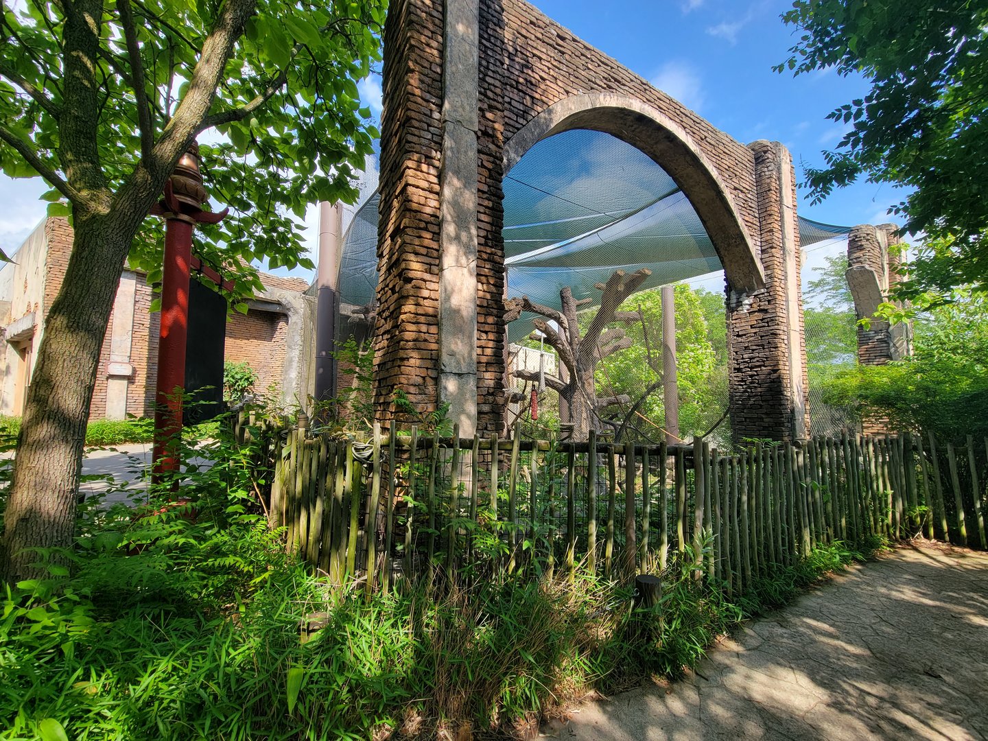 Columbus Zoo - Asia Quest, Silvered leaf monkey outdoors