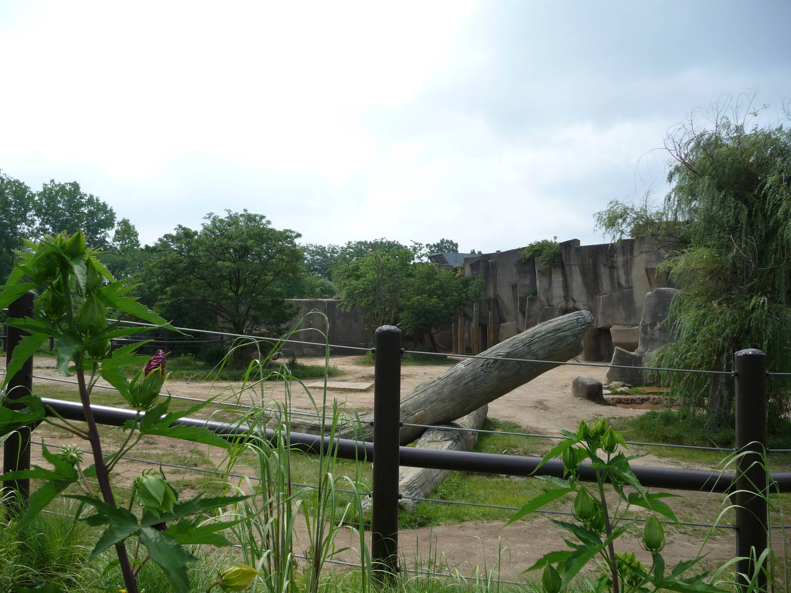 Columbus Zoo - Asian elephant paddock