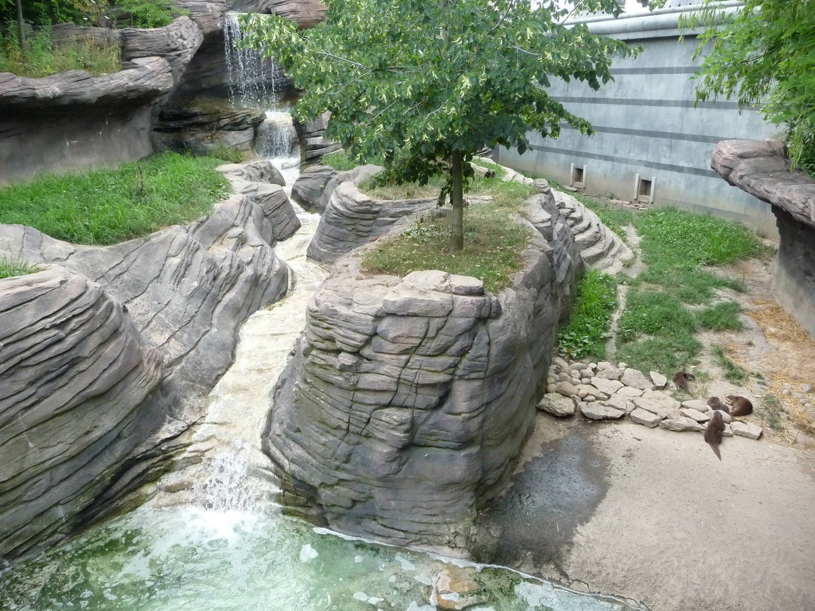 Columbus Zoo - Asian small-clawed otter exhibit