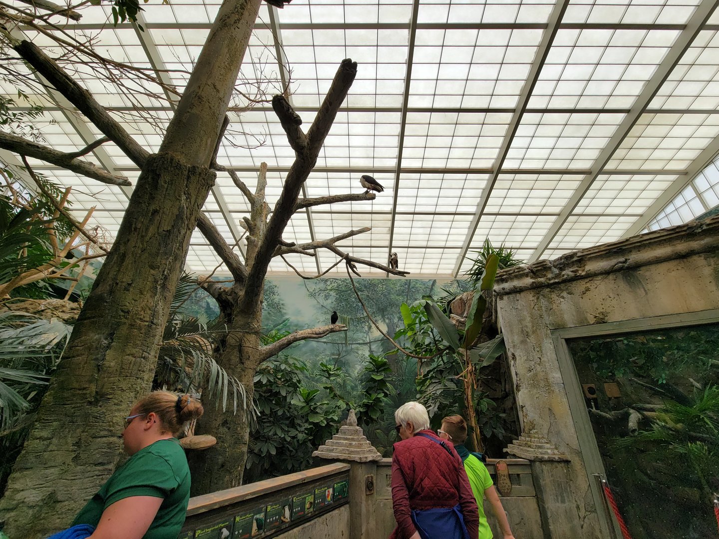 Columbus Zoo - Australia Aviary