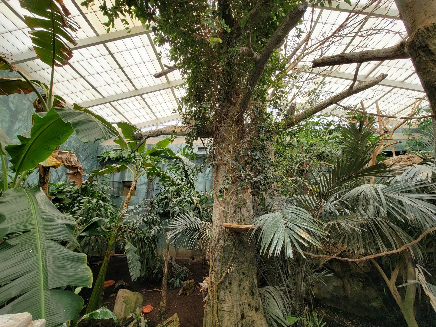 Columbus Zoo - Australia Aviary