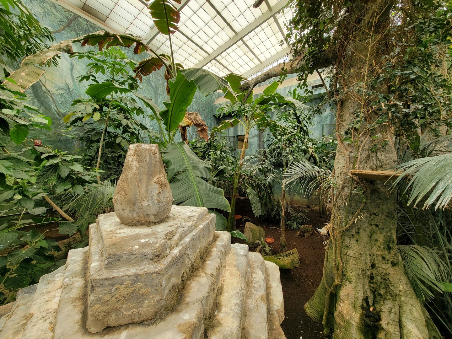 Columbus Zoo - Australia Aviary