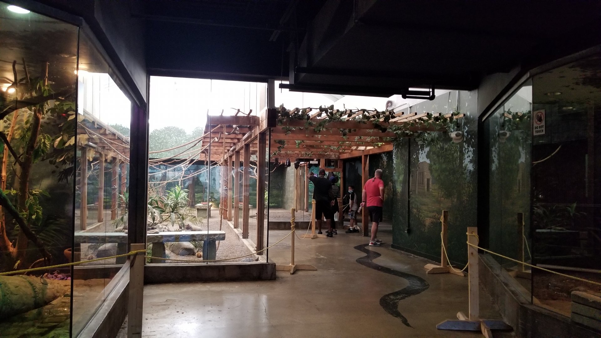 Columbus Zoo - Bat exhibit in front, water monitor far left, reticulated python on right