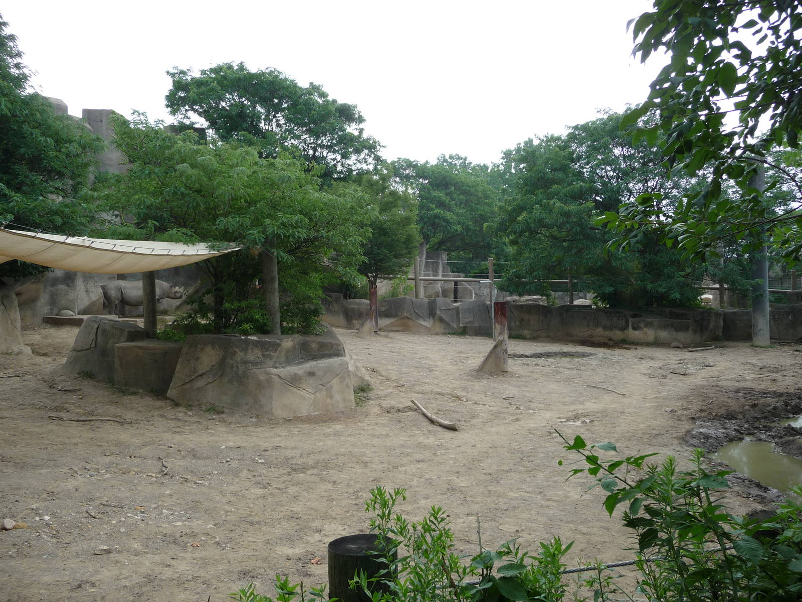 Columbus Zoo - Black rhino paddock