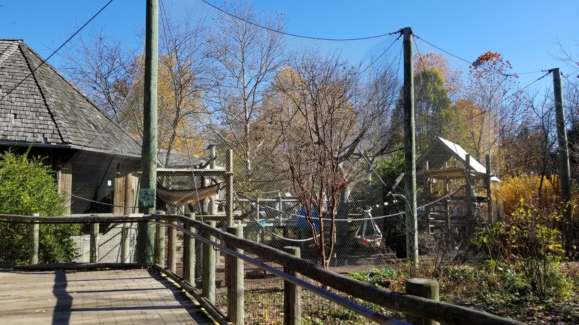 Columbus Zoo - Colobus exhibit