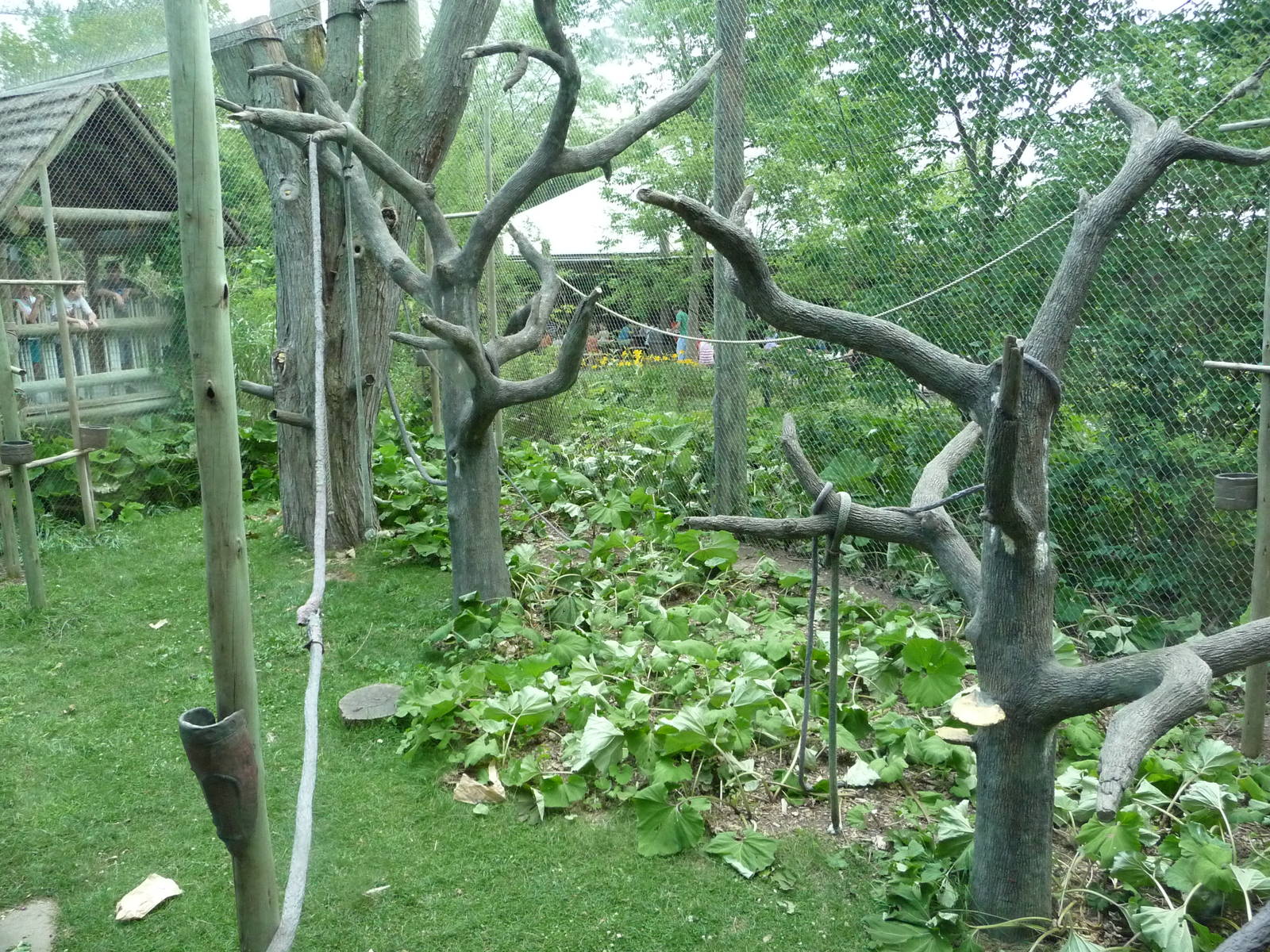 Columbus Zoo - Colobus Monkey Exhibit