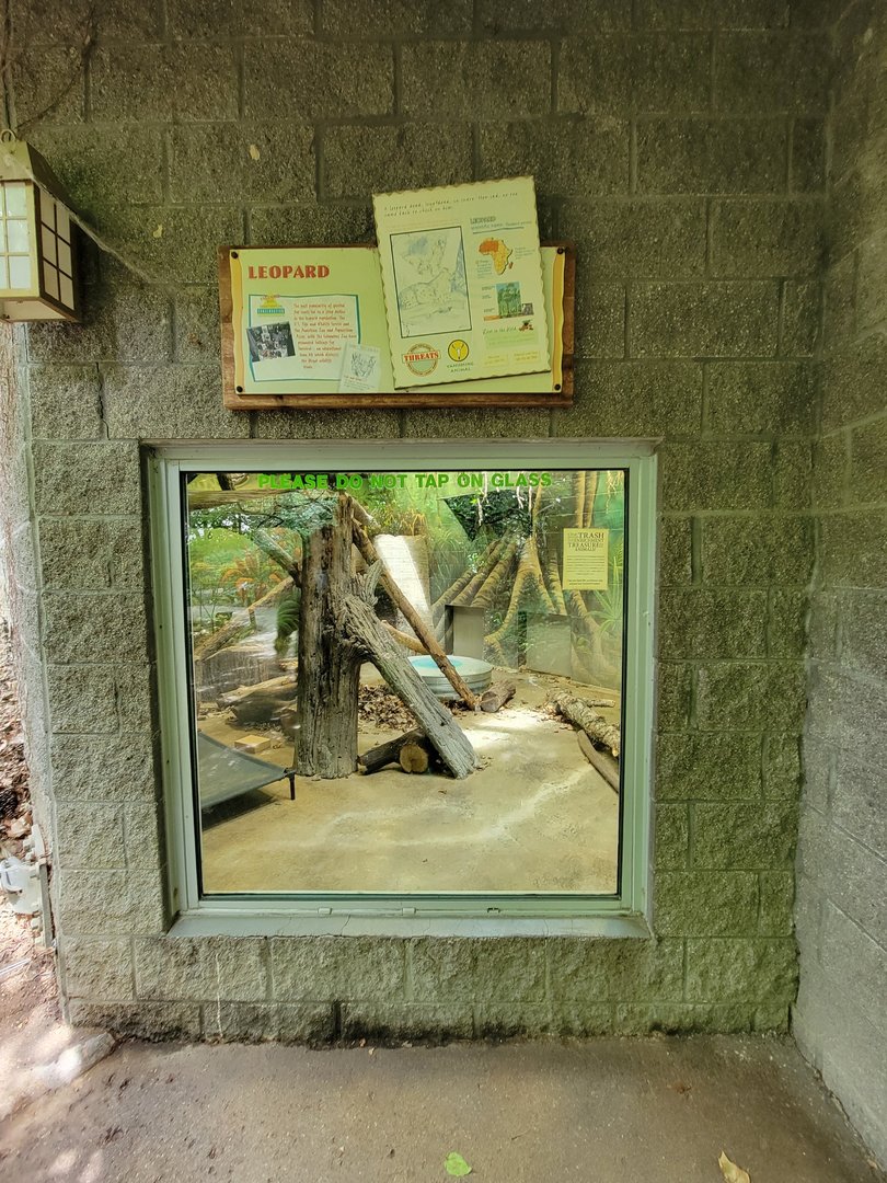 Columbus Zoo - Congo Expedition, Leopard indoor viewing