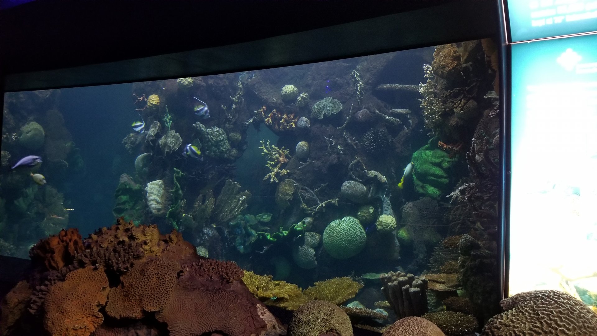 Columbus Zoo - Corner of large tank