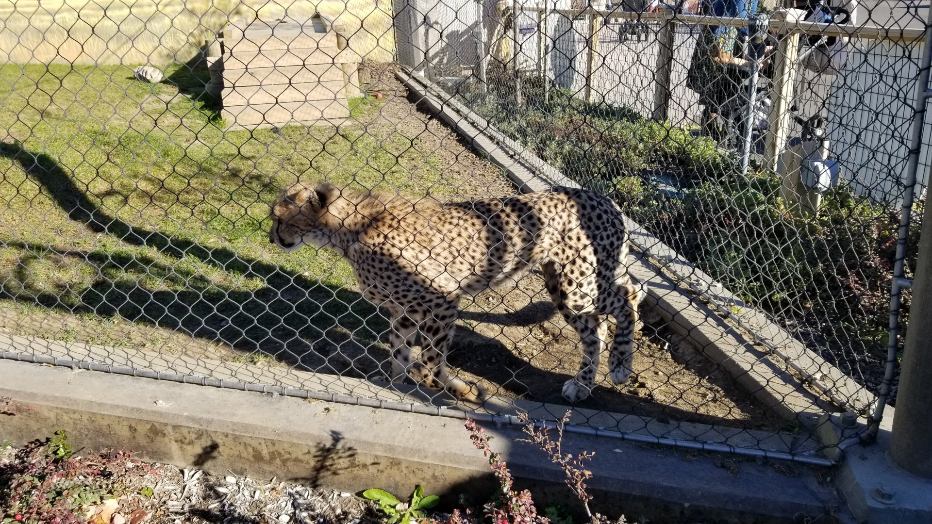Columbus Zoo - Dave and Adrienne