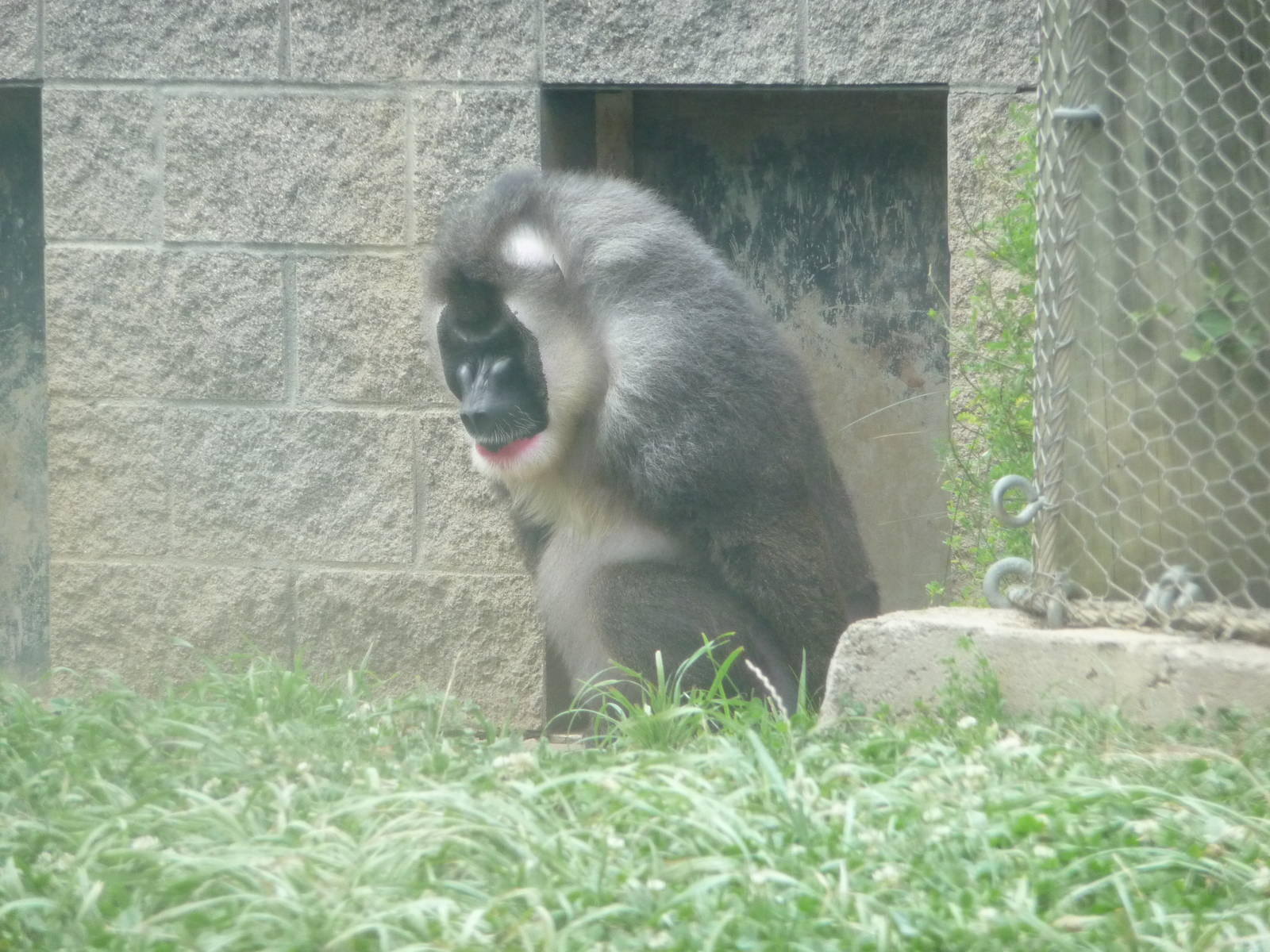Columbus Zoo - Drill