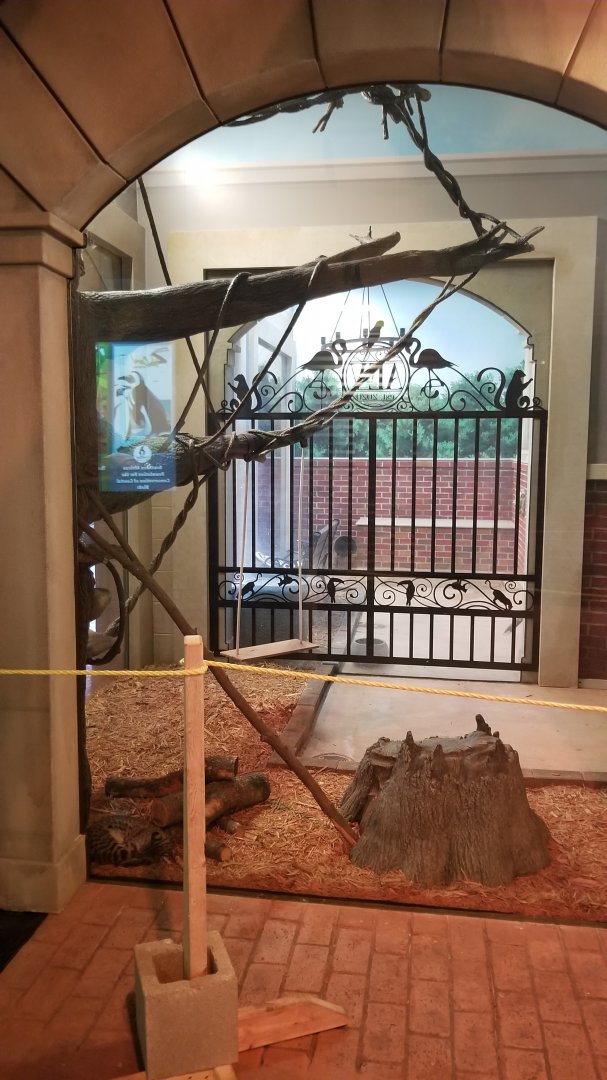 Columbus Zoo - Geoffroy's cat in foreground, seriema behind gate