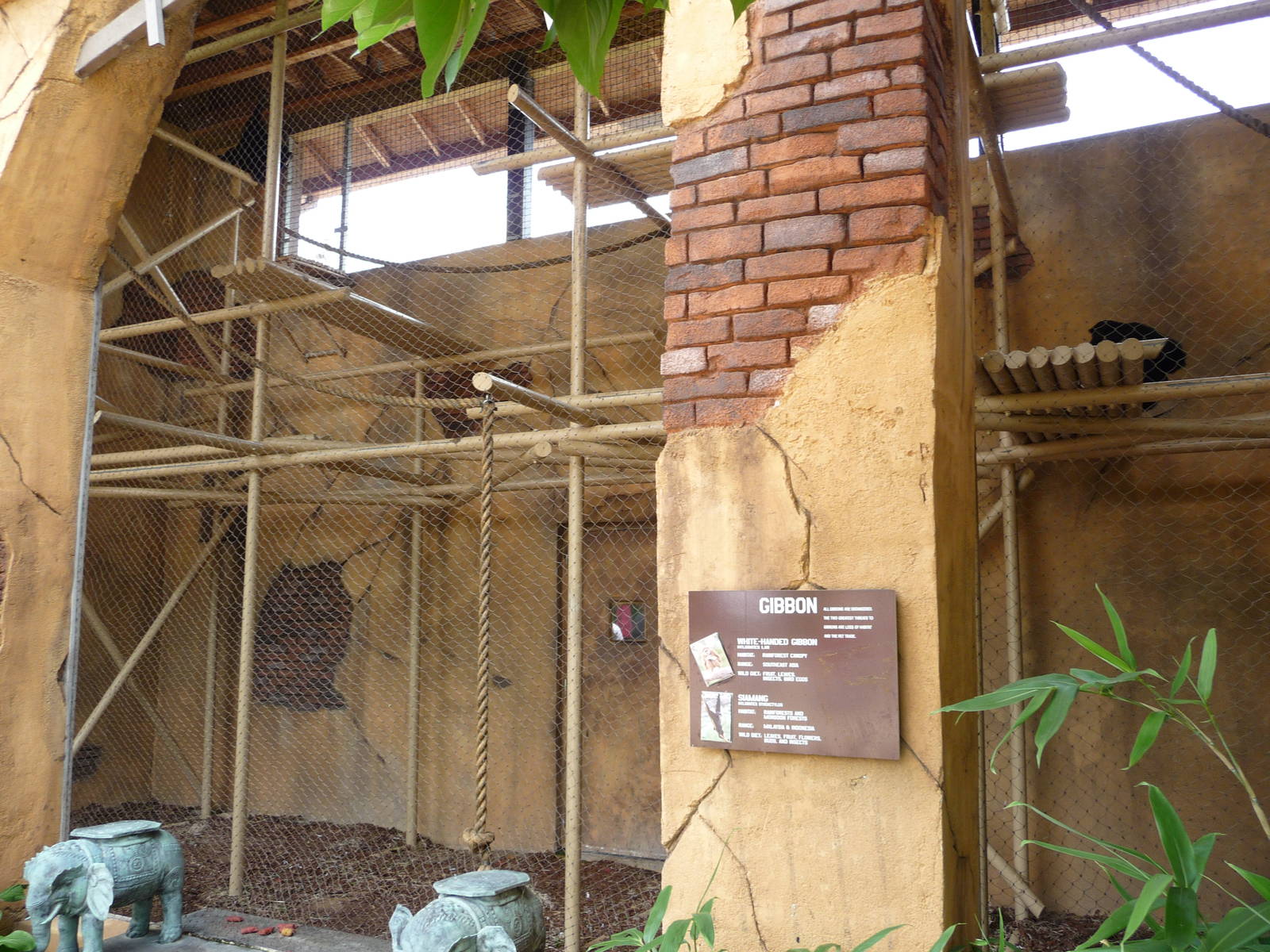 Columbus Zoo - Gibbon Indoor Exhibit