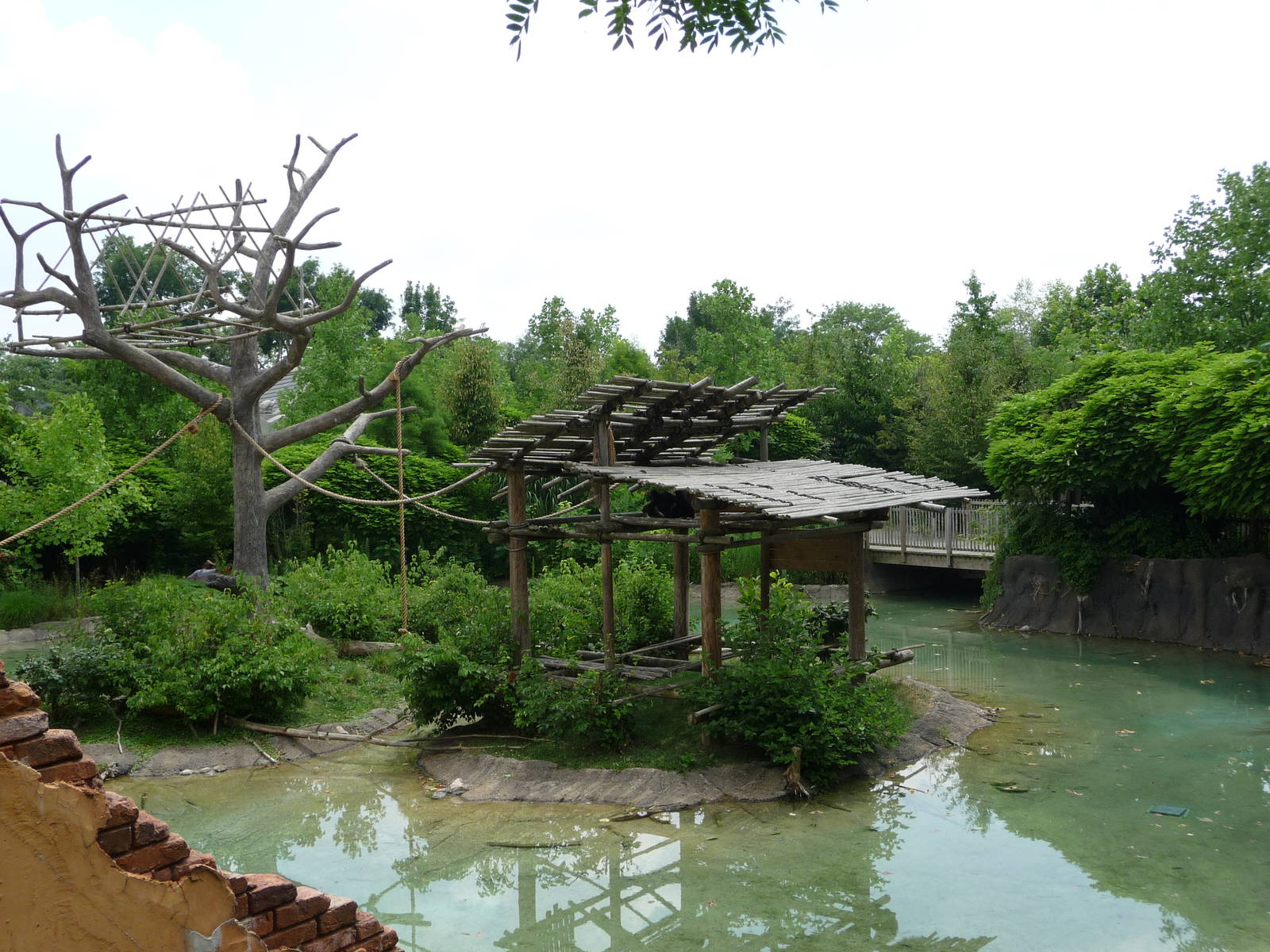 Columbus Zoo - Gibbon Island