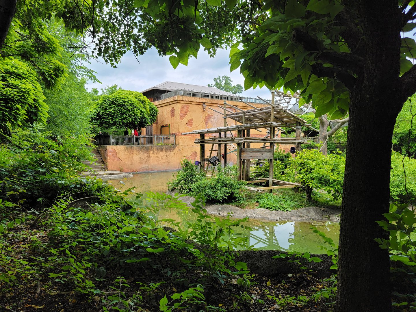 Columbus Zoo - Gibbon island