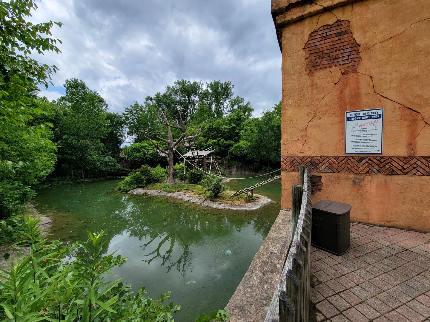 Columbus Zoo - Gibbon island