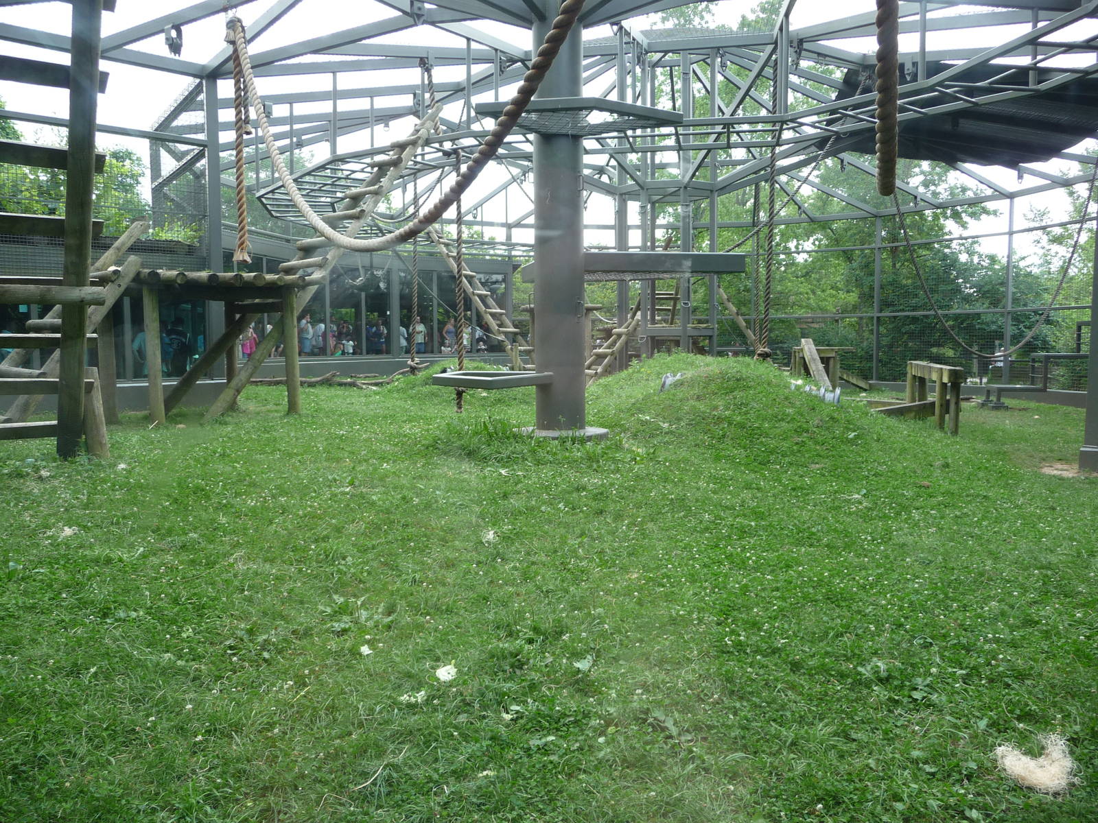 Columbus Zoo - Gorilla Exhibit