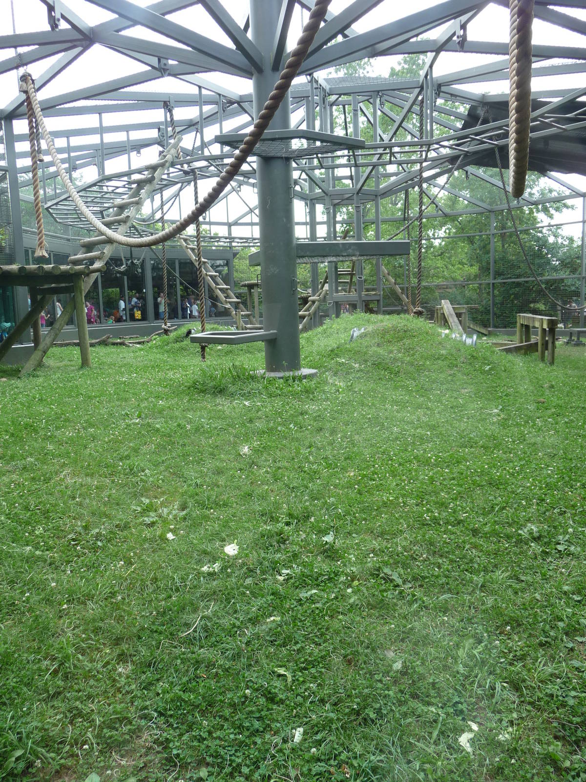 Columbus Zoo - Gorilla Exhibit