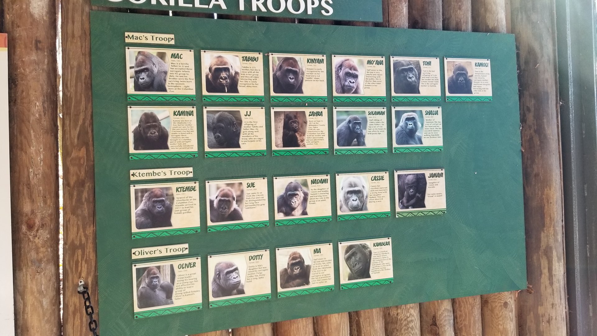 Columbus Zoo - Gorillas
