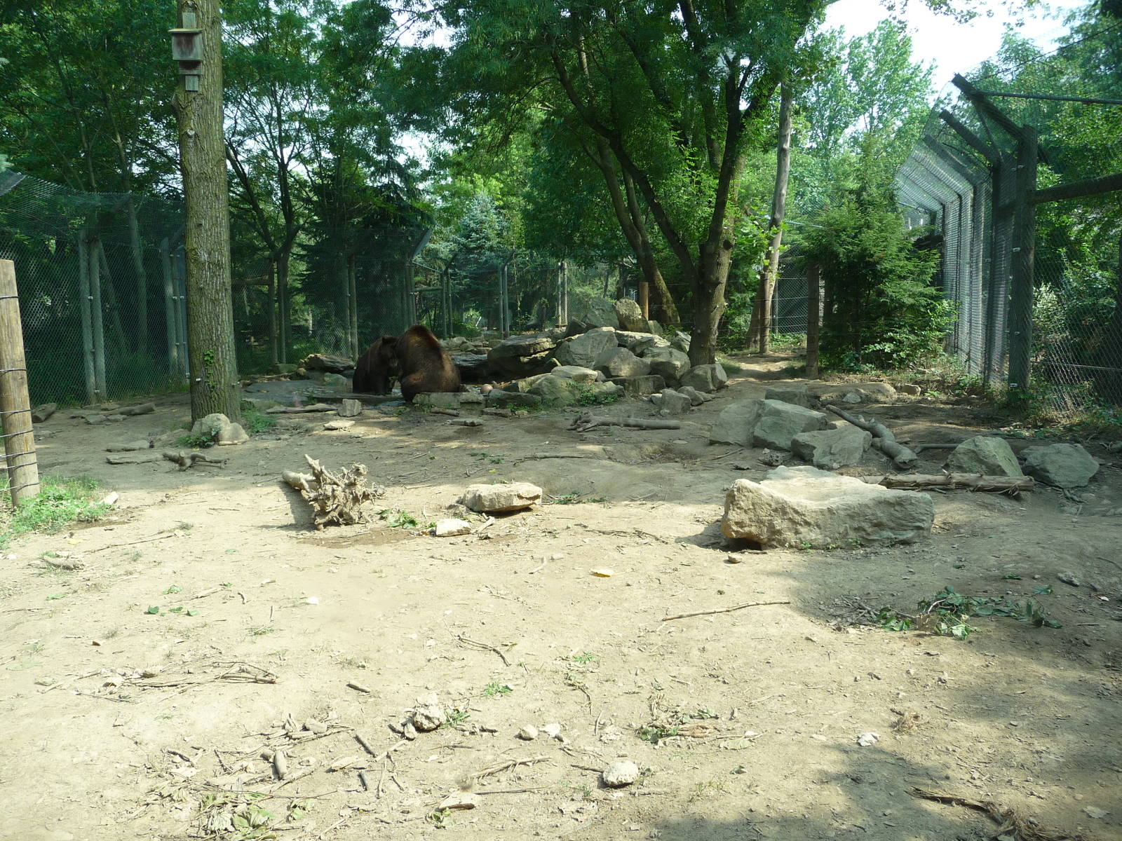 Columbus Zoo - Grizzly Bear Exhibit