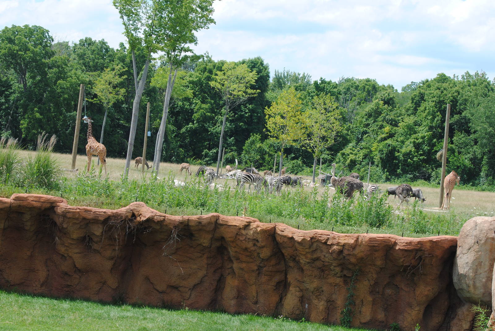 Columbus Zoo - Heart of Africa - July 16 2016