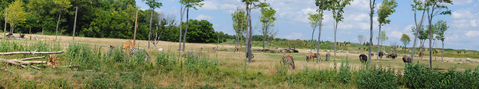 Columbus Zoo - Heart of Africa - July 16 2016