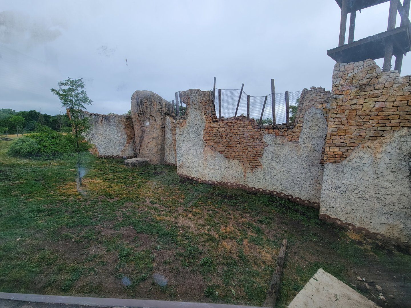 Columbus Zoo - Heart of Africa, Lions