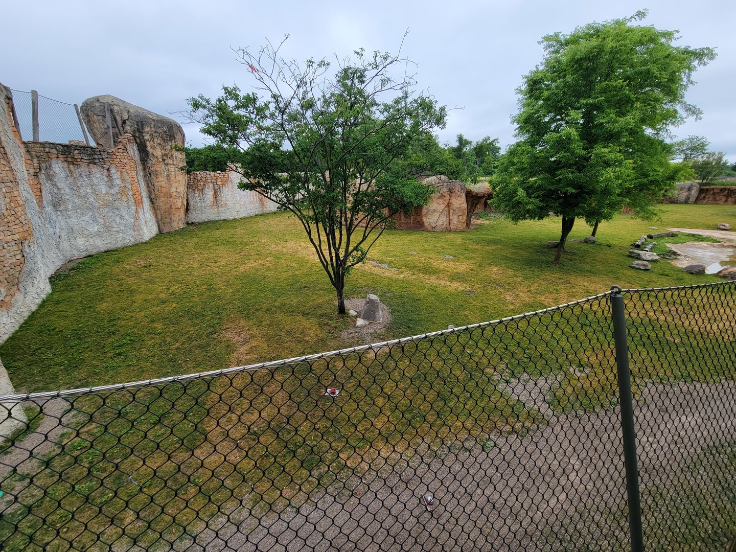Columbus Zoo - Heart of Africa, Rotational watering hole, spotted hyenas out